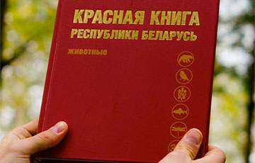 В Красную книгу добавили новые виды животных