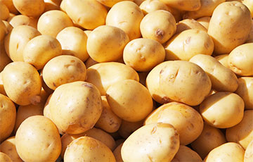 По чем в Беларуси продают молодую картошку?