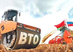Вступление России в ВТО — катастрофа для белорусской экономики