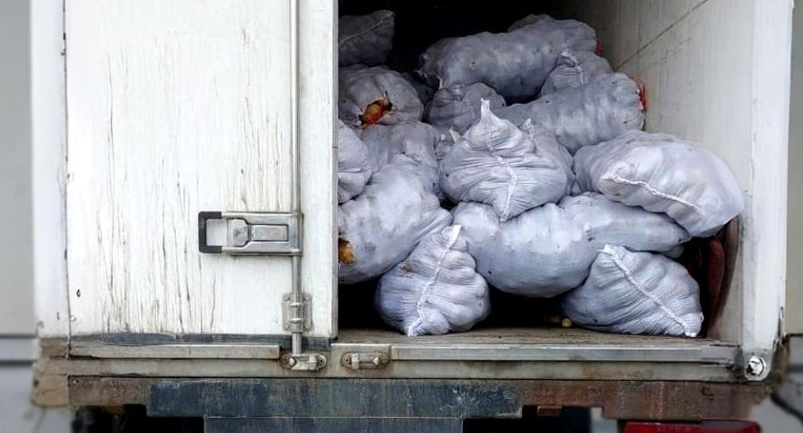 Картофель из РФ запретили ввозить в Беларуси