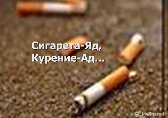 С 1 сентября в Беларуси дорожают сигареты