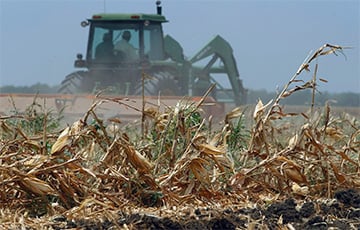 Московитские фермеры оказались на грани массовых банкротств после потери 30% урожая