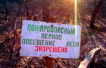 В Брестской области запретили посещение лесов