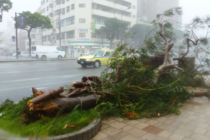 Тайфун «Фанфон» в Японии обесточил 22 тысячи домов