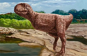 В ресторане в Китае нашли следы динозавров возрастом 100 миллионов лет