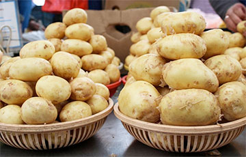 За год картофель в Беларуси подорожал на 40%