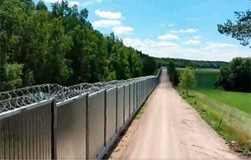 Нелегалы штурмуют забор на беларусско-польской границе с помощью лестниц