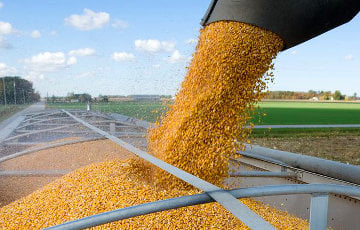 СМИ: Крупнейший импортер зерна отказался от поставок Московии и выбрал Украину