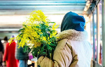Стоит ли дарить букеты мимозы на 8 марта?