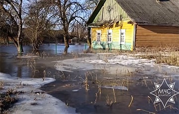 МЧС и Белгидромет опровергли прогнозы «синоптика» Лукашенко
