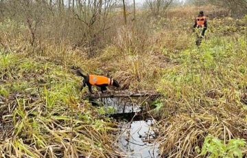 Появились новые подробности исчезновения Максима Зеньковича