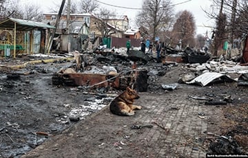 Украина установила главного военного преступника, зверствовавшего в Буче