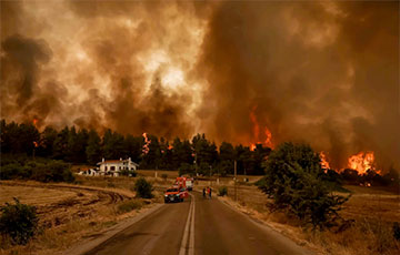 В Греции сгорело уже 90 тысяч гектаров леса