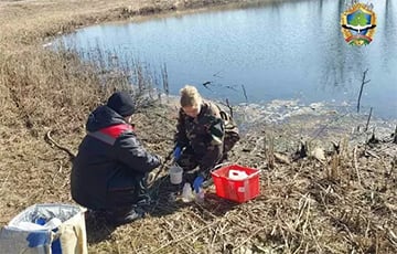В Лунинецком районе обнаружили аномалию