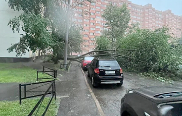Московитский Петербург накрыл мощнейший ураган: падают деревья и краны