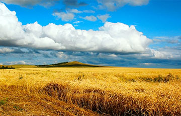 Стало известно, какой будет погода в Беларуси на предстоящей неделе