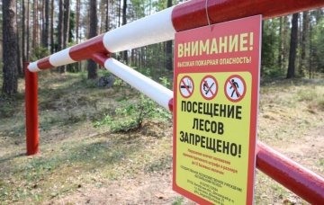 «Важно продержаться»: в лесах Беларуси объявлены усиленные дежурства