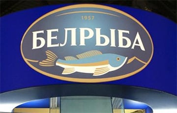 «Белрыбу» отправили в банкротство