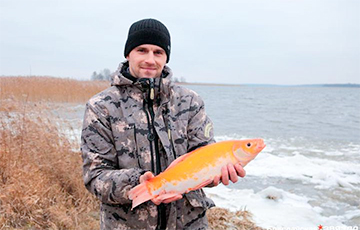 В Браславском районе поймали редкую «золотую рыбку»