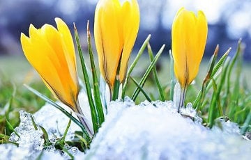На всех метеостанциях Беларуси 8 марта установлены температурные рекорды