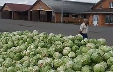 Бунт в фермеров в Ольшанах: появились видео