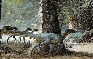 Ученые: Динозавры «с птичьим тазом» были одними из первых социальных животных