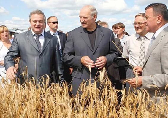 Лукашенко поручил ускорить осенние полевые работы