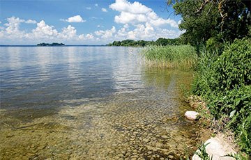 В живописном месте на озере Нарочь продают базу отдыха