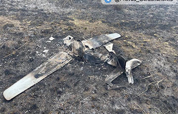 Украинские пограничники сбили возле Попасной вражеский беспилотник «Орлан-10»