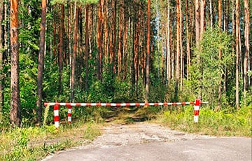 Ограничения на посещение лесов введены в 51 районе Беларуси