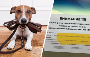 Беларусам предложили регистрировать питомцев в магазине ритуальных товаров