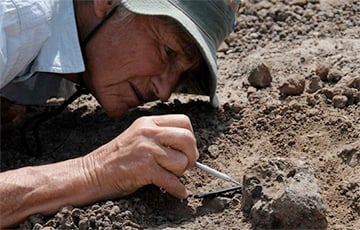 Палеонтологи нашли древнего членистоногого с огромным третьим глазом