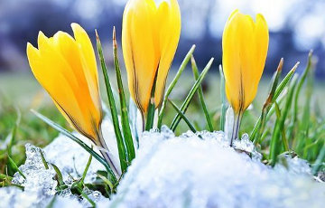До +6 градусов ожидается в Беларуси 3 марта