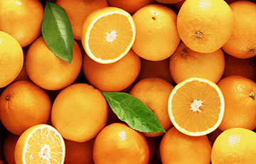 В Испании электроэнергию будут получать при помощи апельсинов