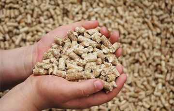 В Беларуси решили зафиксировать цены на древесные гранулы для населения
