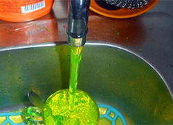 Минчане будут пить зеленую воду