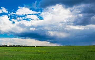 Какая погода ждет беларусов в выходные