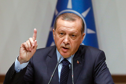 Эрдоган призвал немецких турок проголосовать против Меркель