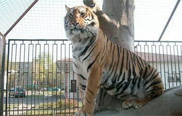 На следующей неделе школьники смогут посетить минский зоопарк бесплатно