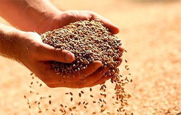 Сейм Литвы призвал ЕС запретить беларусское зерно