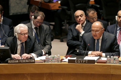 Россия представила в Совбезе ООН резолюцию по Йемену