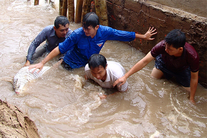 Во Вьетнаме из-за наводнений погибли 26 человек