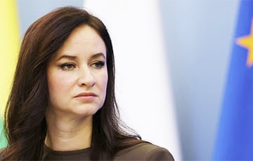 Премьер Литвы: Дрон, упавший в стране, был украинским