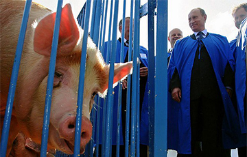 Два свинопаса