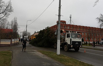 В Полоцке уронили новогоднюю елку