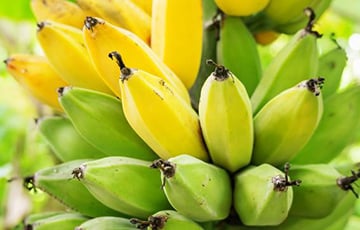 Московия начала менять нефть на индийские бананы