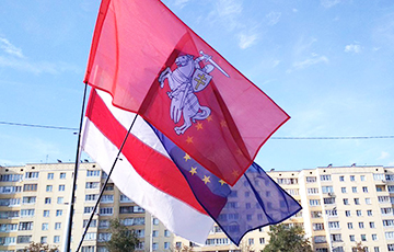 Пикеты «Европейской Беларуси» прошли в Бобруйске, Светлогорске и Мозыре