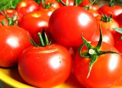 Белорусы завалили рынки Брянска польскими помидорами