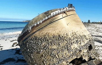 В Австралии выяснили происхождение таинственного купола, выброшенного на берег