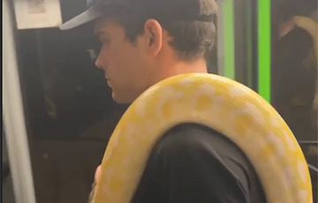 В Гомеле парень перевозил в автобусе большую змею прямо у себя на плече